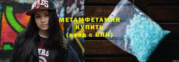 индика Богородск