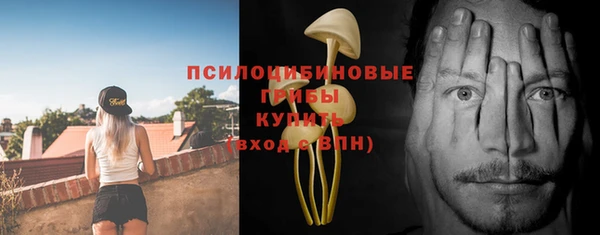 прущая мука Богородицк