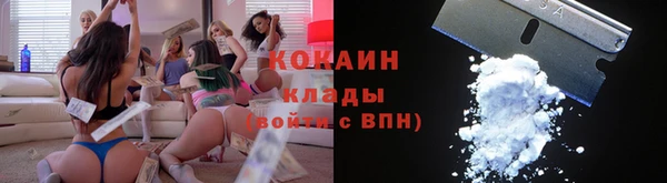 индика Богородск
