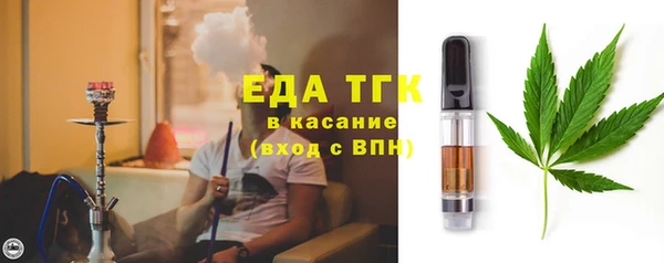 индика Богородск