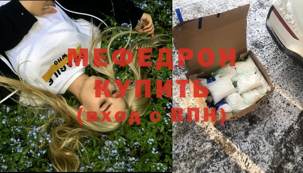 индика Богородск