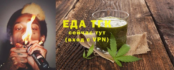 индика Богородск
