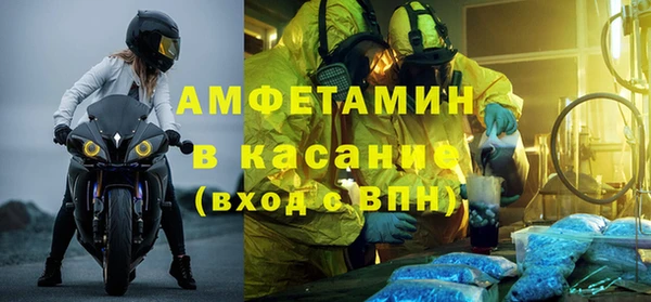 индика Богородск