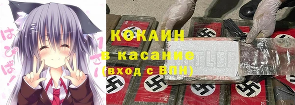 прущая мука Богородицк