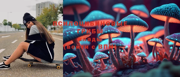 индика Богородск