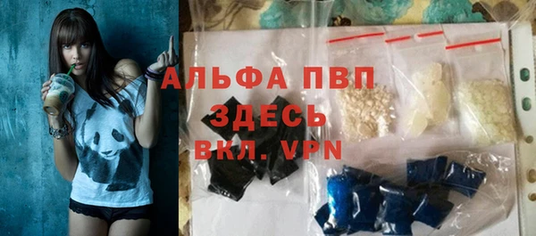 индика Богородск